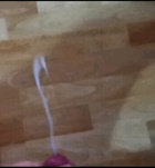 Bika09 204316909 profilképe