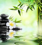 Nikolérzékiérintéseivip 309195341  profilkép