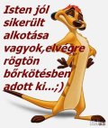 Stella 705666924  profilkép