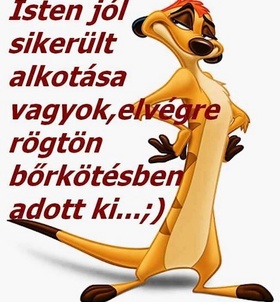 Stella 705666924  profilkép