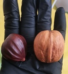 Ancsa 306283538  profilképe