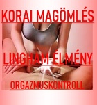 BeatrixAranykéz 705550658  profilképe