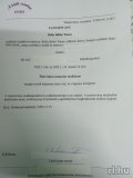 Ildicicamica 301354189  profilkép