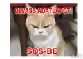 Tita 204391870 profilkép