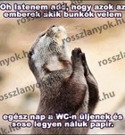 Tita 204391870  profilkép