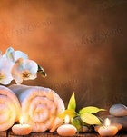 Arabella 209478463  profilkép