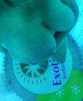 Miranda – 305210402 profilkép
