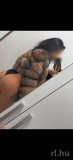 Vanessza – 304736138 profilkép