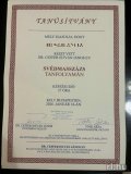 Villő 202381525 profilképe
