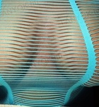 Vivien13 705820463  profilképe